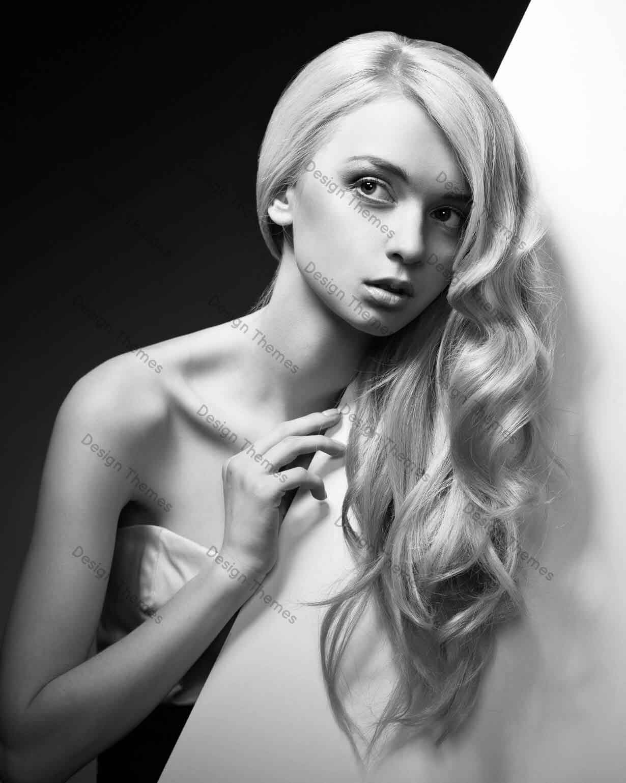 Quisque id maximus leo